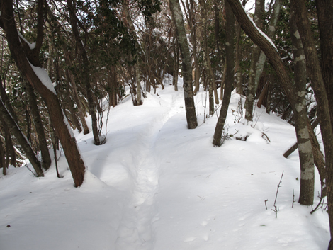 20140211hike (132)